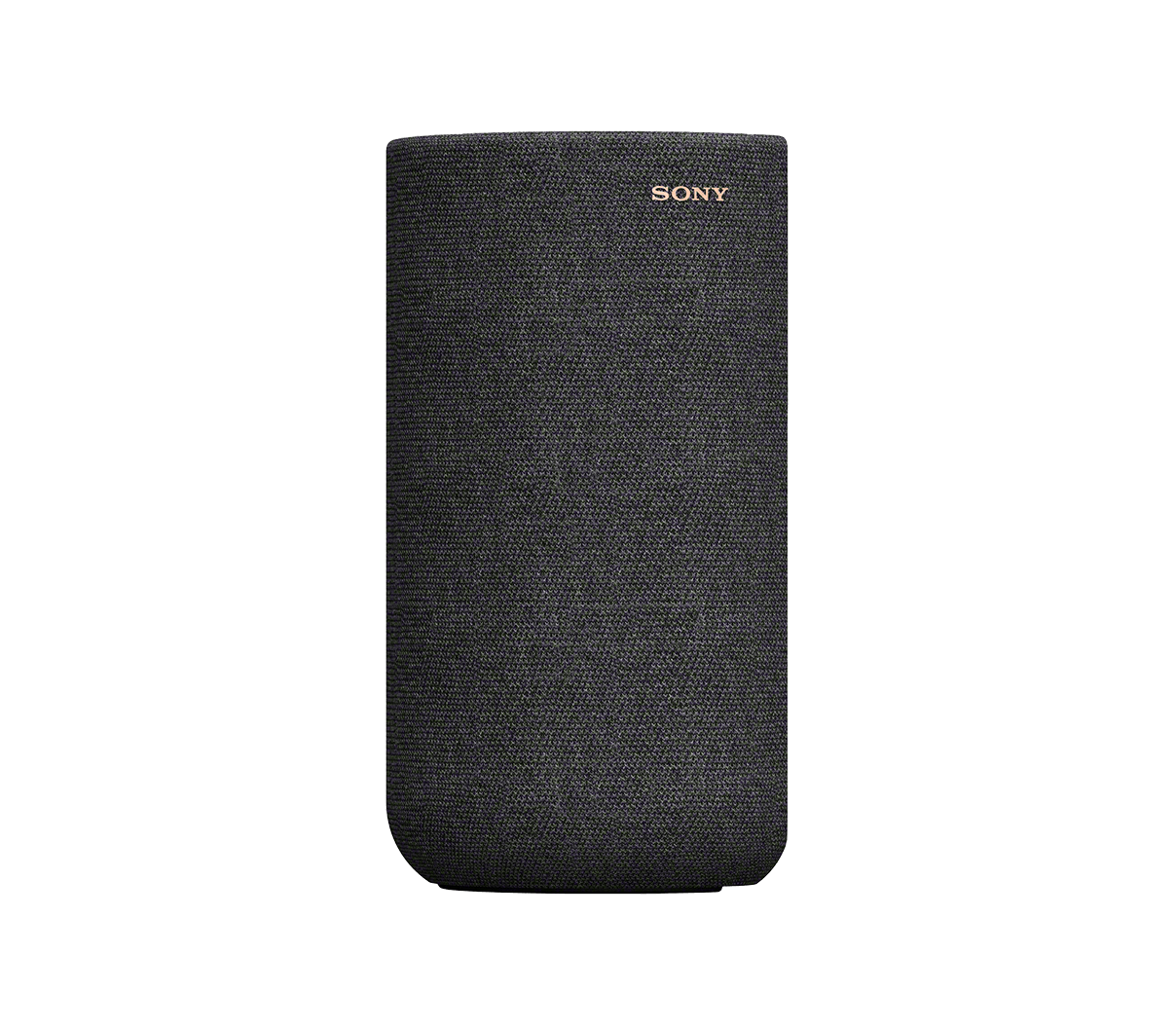 04-SA-RS5_side-Large.png