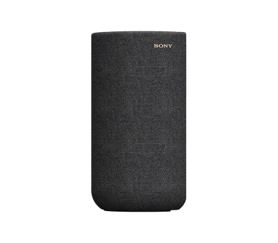 04-SA-RS5_side-Large.png