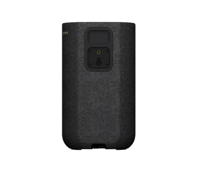 06-SA-RS5_rear_terminal-Large.png