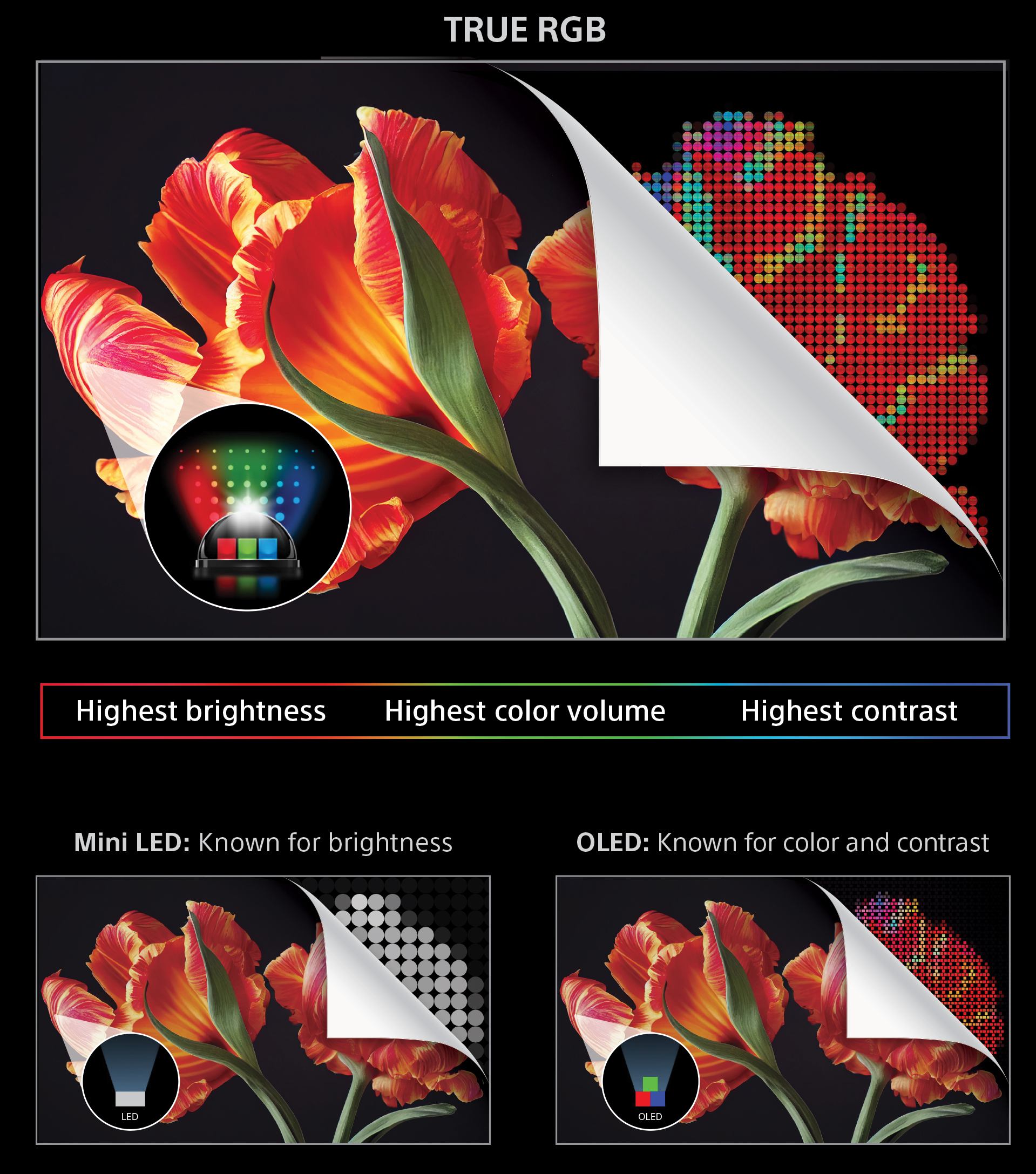 Diagram of Sony's True RGB backlight, showing independently controlled red, green, and blue LEDs delivering more accurate color and contrast than a standard white-LED backlight.